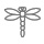 Dragonfly B